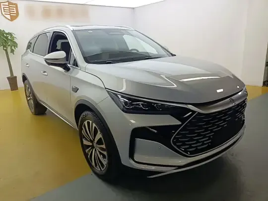 BYD Tang New Energy 2025 (1600 км)