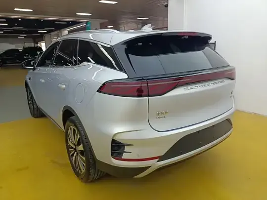 BYD Tang New Energy 2025 (1600 км)