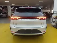 BYD Tang New Energy 2025 (1600 км)