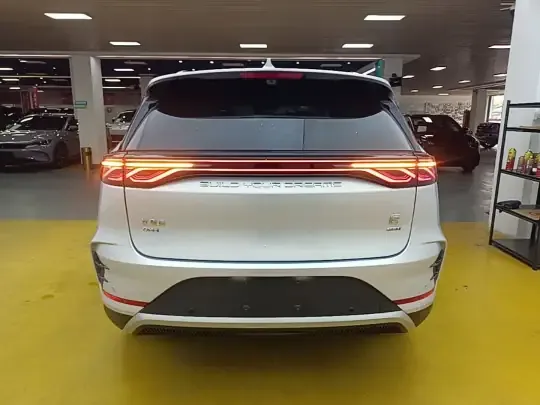 BYD Tang New Energy 2025 (1600 км)