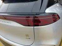 BYD Tang New Energy 2025 (1600 км)