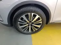 BYD Tang New Energy 2025 (1600 км)