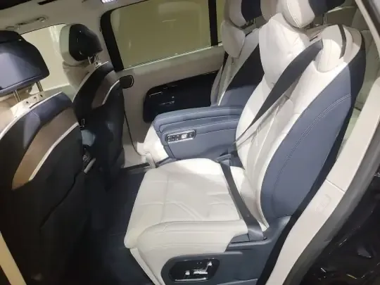 Zeekr 9X 2025 (100 км)