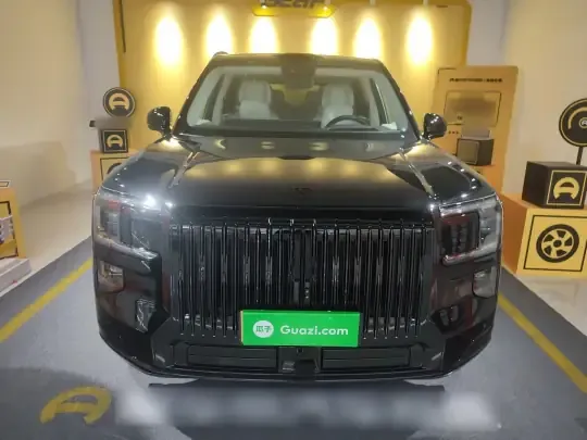 Zeekr 9X 2025 (100 км)
