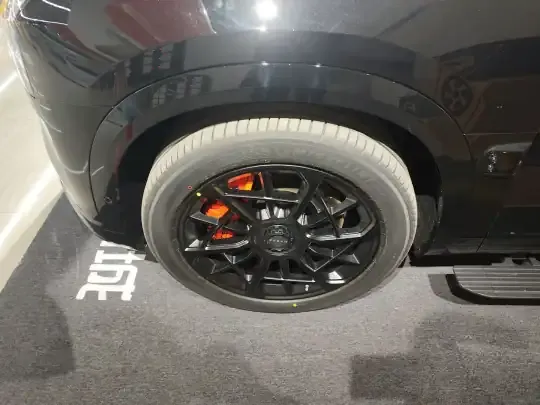 Zeekr 9X 2025 (100 км)