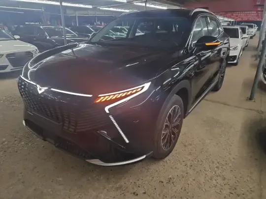 Cowin Kunlun 2026 (600 км)