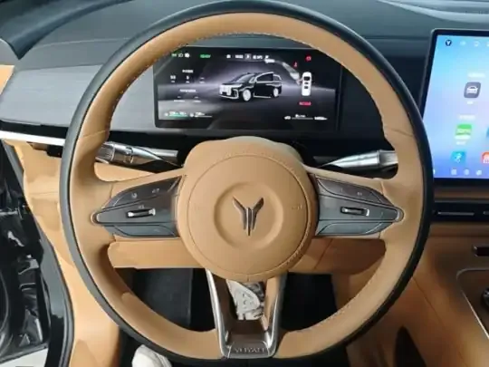VOYAH Dream 2026 (14900 км)
