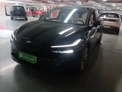 ONVO L60 2025 (7900 км)