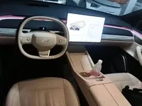 ONVO L60 2025 (7900 км)