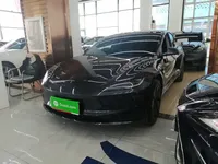 Tesla Model 3 2025 (15900 км)