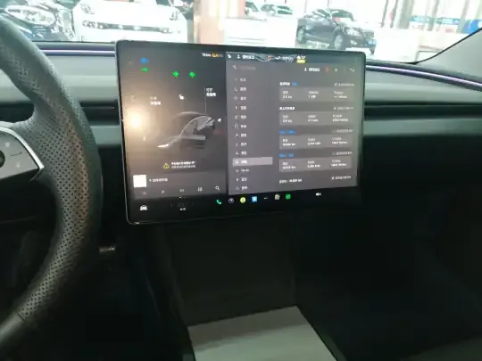 Tesla Model 3 2025 (15900 км)