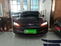 Tesla Model 3 2025 (15900 км)