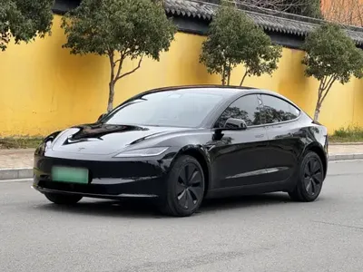 Tesla Model 3 2025 (7000 км)