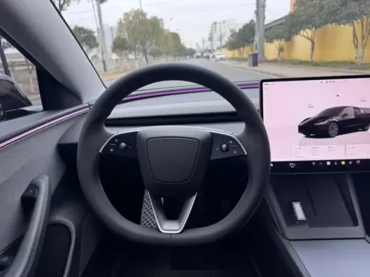 Tesla Model 3 2025 (7000 км)