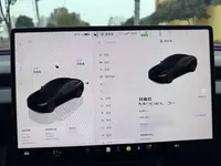 Tesla Model 3 2025 (7000 км)