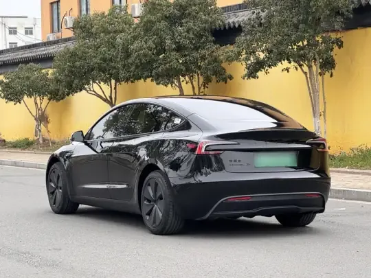 Tesla Model 3 2025 (7000 км)