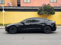 Tesla Model 3 2025 (7000 км)
