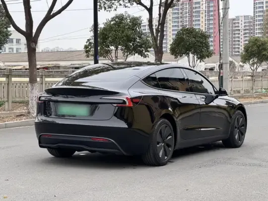 Tesla Model 3 2025 (7000 км)