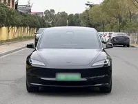 Tesla Model 3 2025 (7000 км)