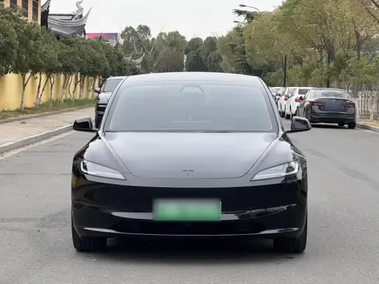 Tesla Model 3 2025 (7000 км)