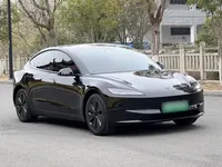 Tesla Model 3 2025 (7000 км)