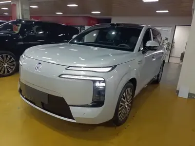 Denza N8L 2025 (1600 км)