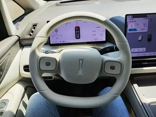 Wey Gaoshan 2025 (4100 км)