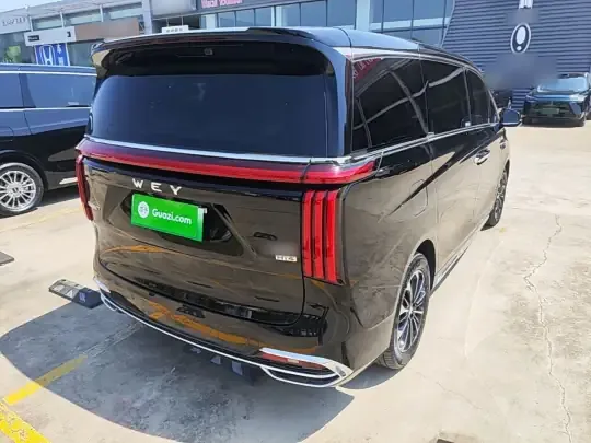 Wey Gaoshan 2025 (4100 км)