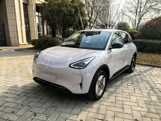 Geely Galaxy Geome 2026 (100 км)