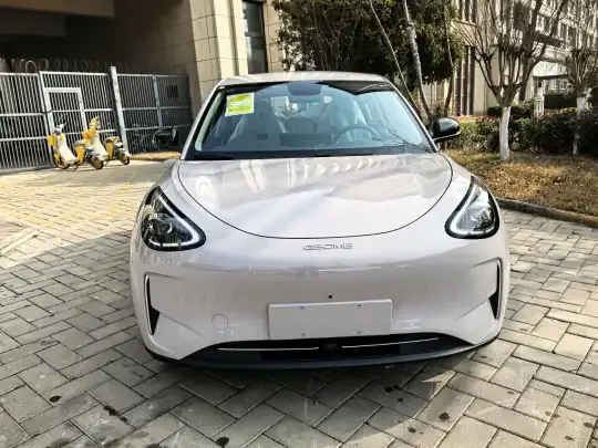Geely Galaxy Geome 2026 (100 км)