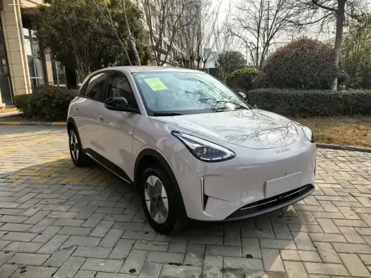 Geely Galaxy Geome 2026 (100 км)