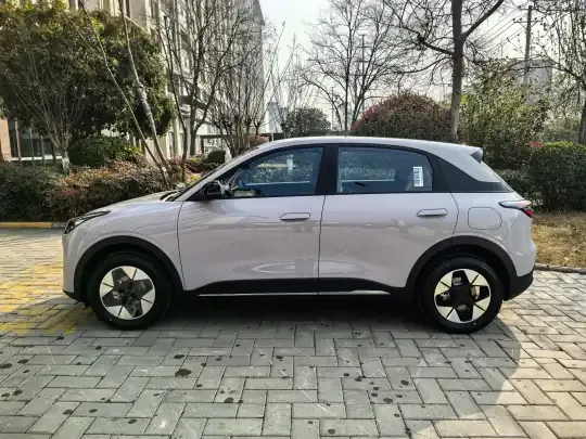 Geely Galaxy Geome 2026 (100 км)