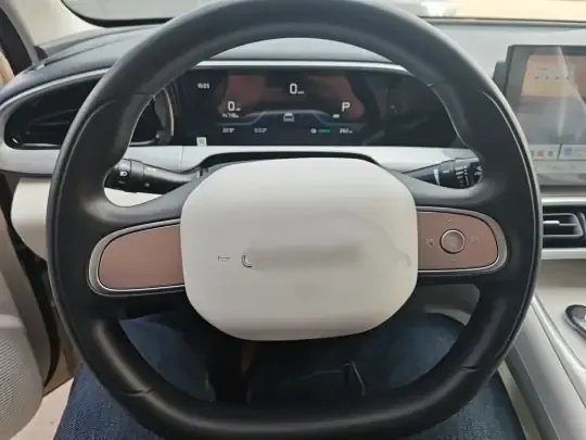 Geely Galaxy Geome 2026 (100 км)