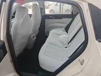 Geely Galaxy Geome 2026 (100 км)