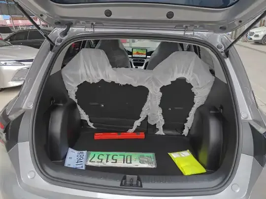 Geely Galaxy Geome 2026 (100 км)