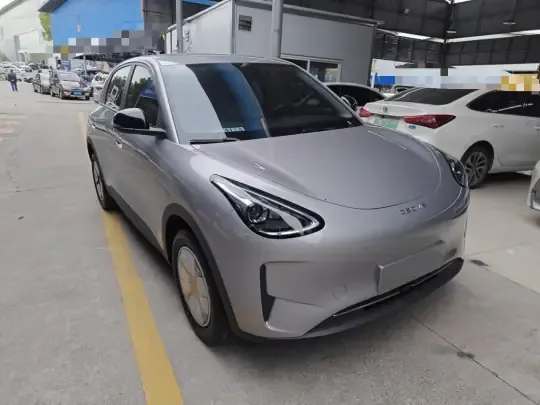 Geely Galaxy Geome 2026 (100 км)