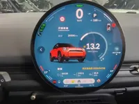 MINI Electric ACEMAN 2025 (28600 км)
