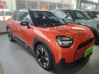 MINI Electric ACEMAN 2025 (28600 км)