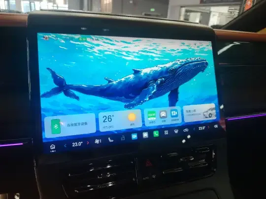 GAC Trumpchi Xiangwang M8 2026 (17200 км)
