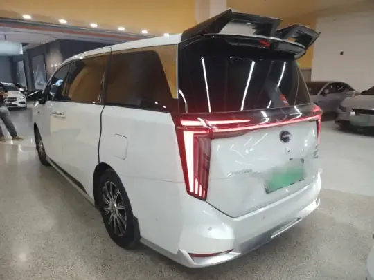 GAC Trumpchi Xiangwang M8 2026 (17200 км)