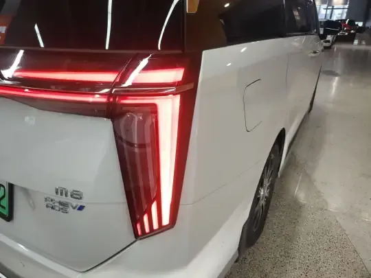 GAC Trumpchi Xiangwang M8 2026 (17200 км)