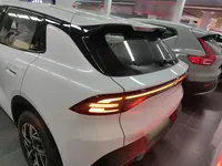 Qiyuan Q05 2026 (100 км)
