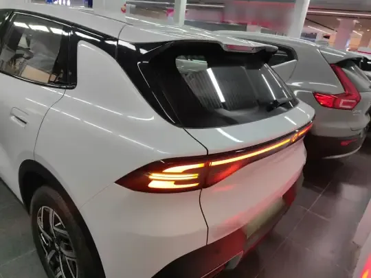 Qiyuan Q05 2026 (100 км)