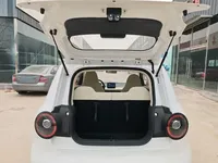 Aishang Aishang 2026 (100 км)