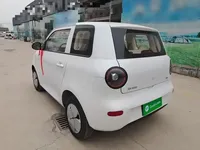 Aishang Aishang 2026 (100 км)