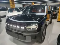 Ford Bronco 2026 (1900 км)