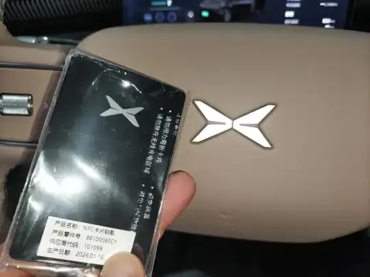 XPeng X9 2026 (100 км)