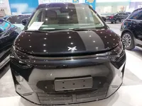 XPeng X9 2026 (100 км)