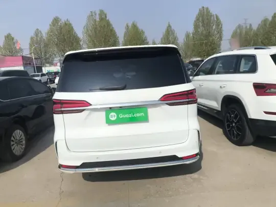 Roewe iMAX8 2021 (18900 км)
