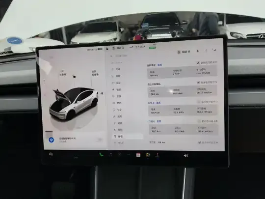 Tesla Model Y 2026 (100 км)